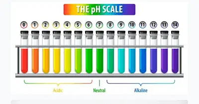 El pH salival y su importancia para la salud bucal