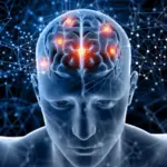 Un cerebro asociado a la enfermedad Alzheimer