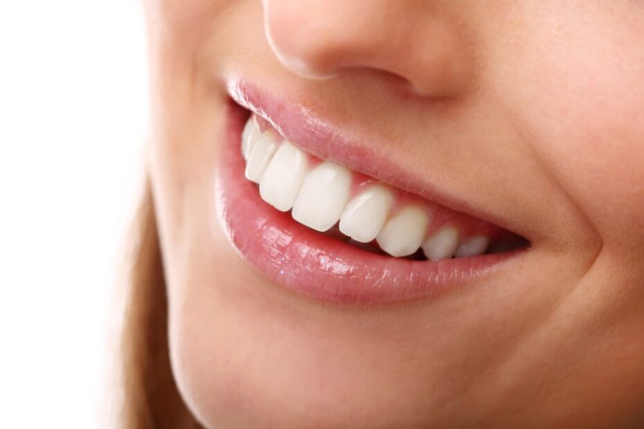 Diente, ¿Qué es un diente y cual es su función ?, odonton
